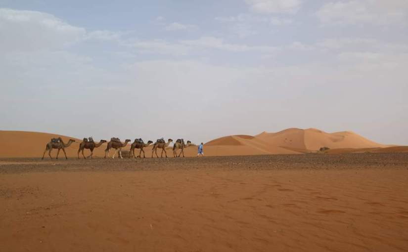 201807 🇲🇦 Morocco 摩洛哥 (Marrakech馬拉喀什+Merzouga梅如卡+Fes菲斯)