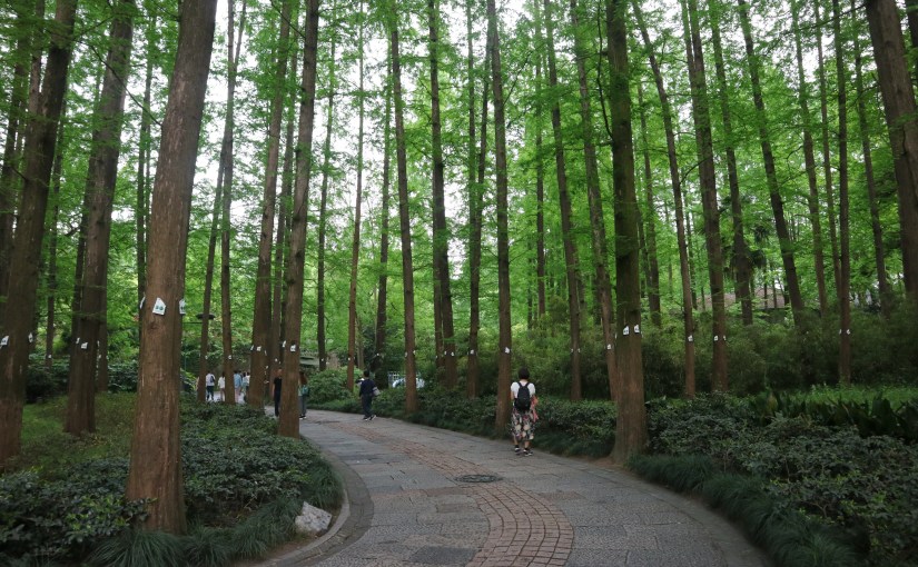 201904 🇨🇳 China 中國 (Hangzhou杭州+Shaoxing紹興+Ningbo寧波+Chaoshan潮汕+Shenzhen深圳)